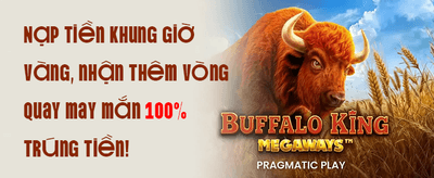 Hoàn Trả VIP Hàng Ngày 2% promotion